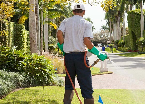 About Clarkedale AR Pest Control Pros